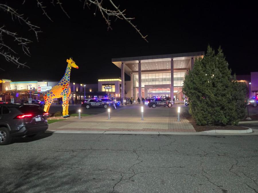 Maryland man turns himself in after brandishing gun at Springfield Mall ...