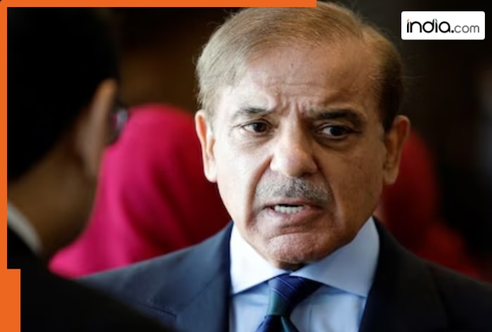 Bad news for Pakistan as 125 overseas companies exit Shehbaj Sharif's ...