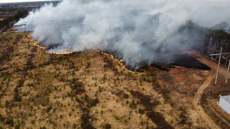Isle of Wight brush fire scorches 400 acres