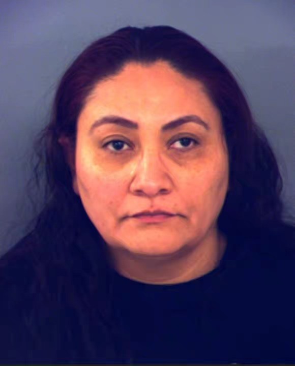 Horizon traffic stop leads to arrest of woman with 17 warrants