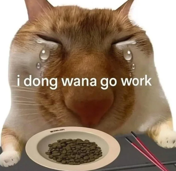 7 Meme Kucing Saat Mager Sebelum Kerja – 7 Meme Kucing Saat Mager Sebelum Kerja