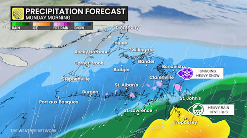 High winds, heavy snow from nor'easter to give East Coast a winter wallop