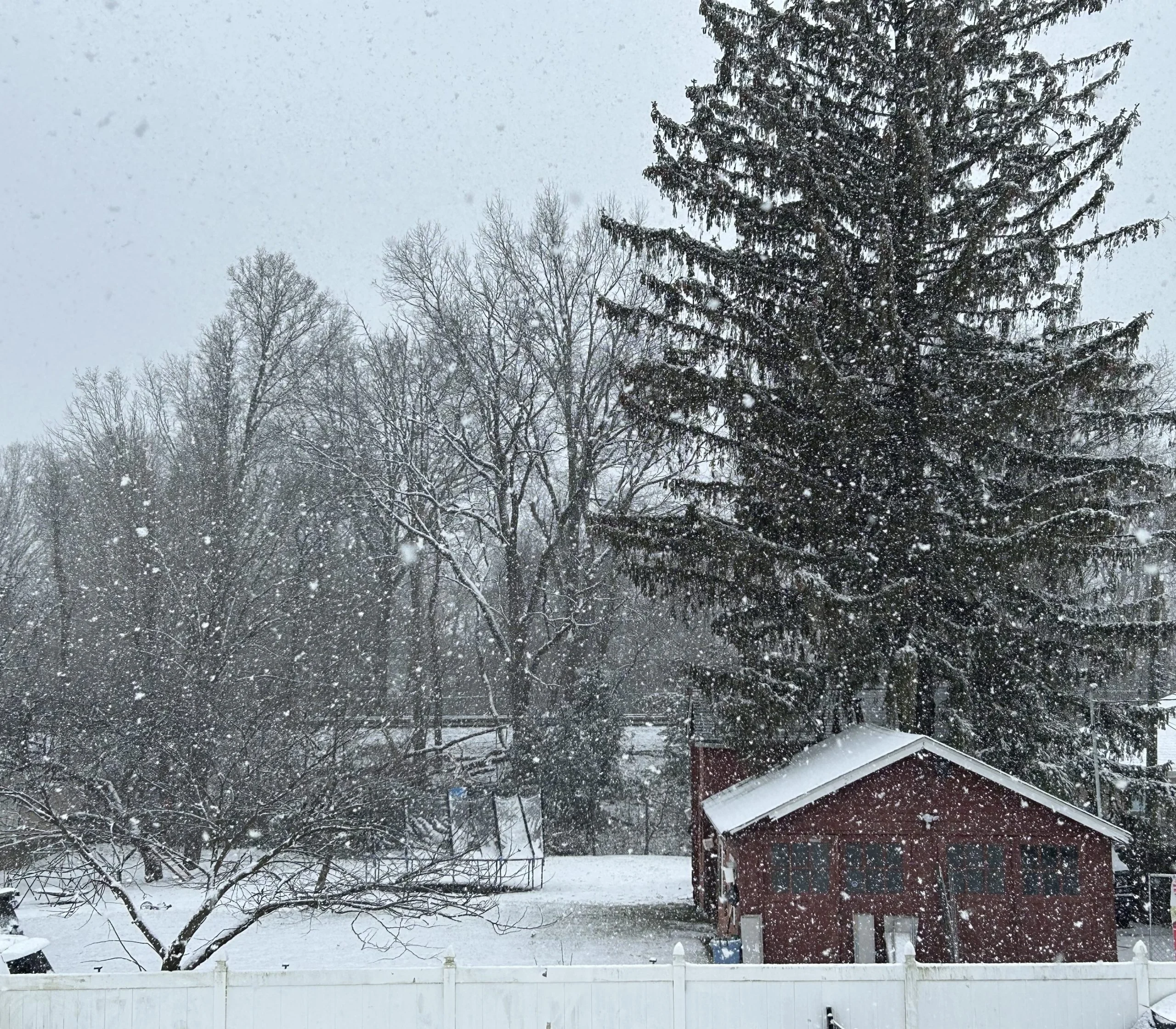 Florida and Georgia see rare snow as additional storms target I-95 corridor
