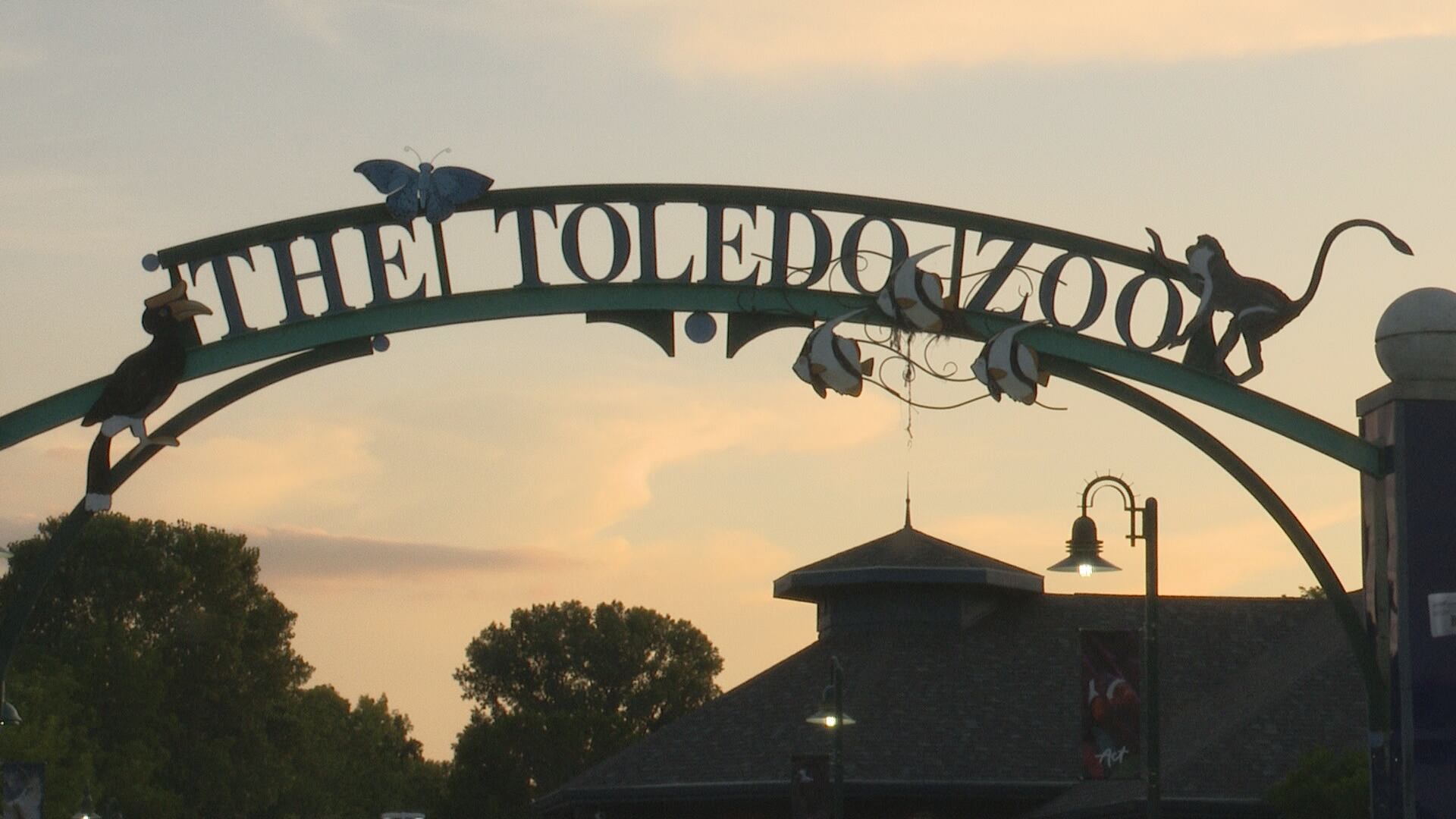 Rock band Chicago to perform at Toledo Zoo Amphitheatre this summer