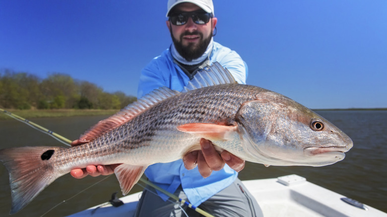 The 5 best fishing destinations along Texas' dazzling Gulf Coast