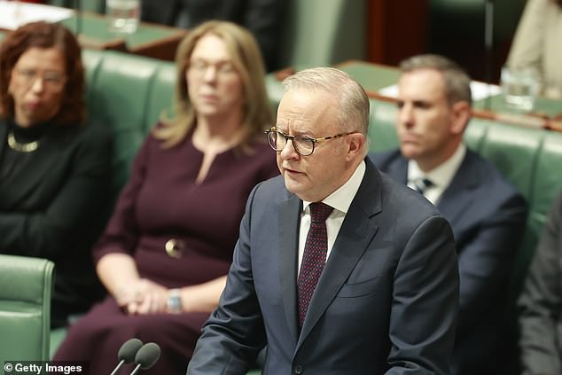 Albo's Bondi massacre speech to Parliament makes MP break down in tears