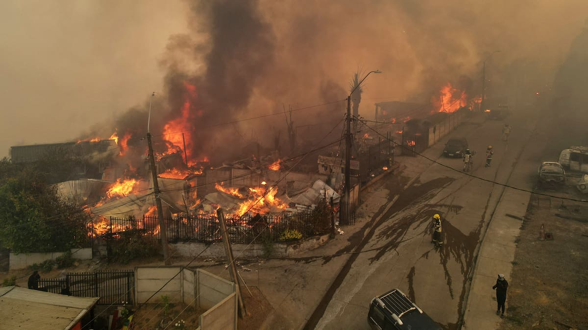 «Bringen Sie sich in Sicherheit»: Schwere Waldbrände in Chile ...