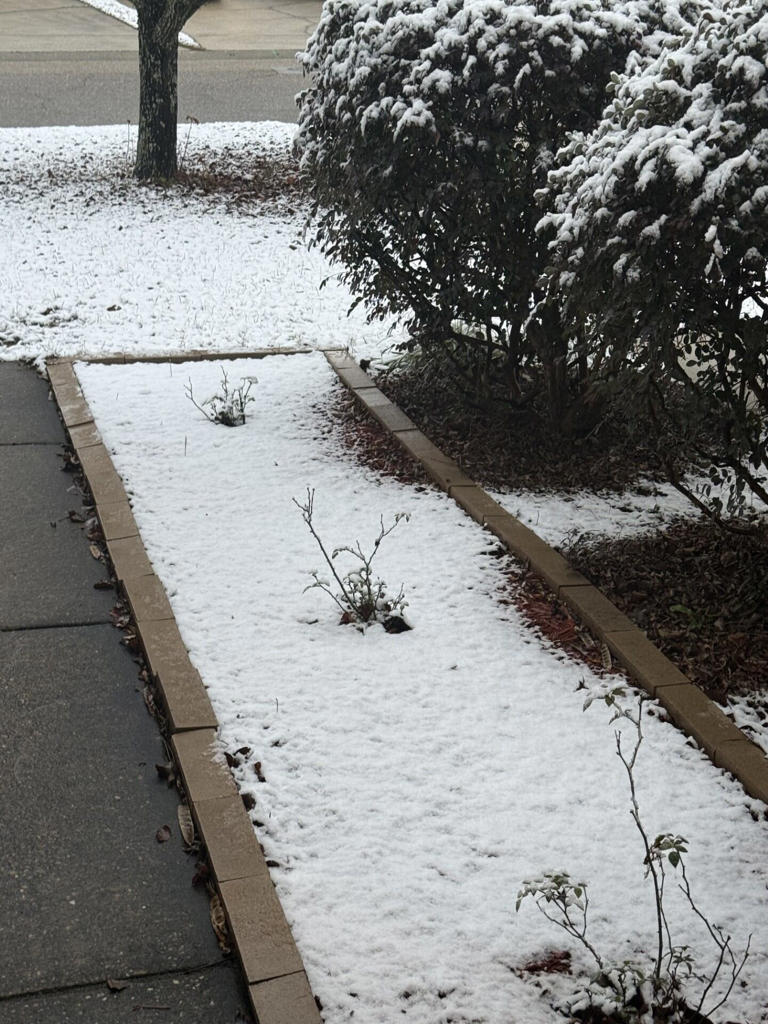 WTVY viewer view: Snowy Sunday across the Wiregrass