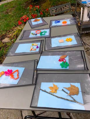 Several papers with different leaves and sticks and flowers in the sun