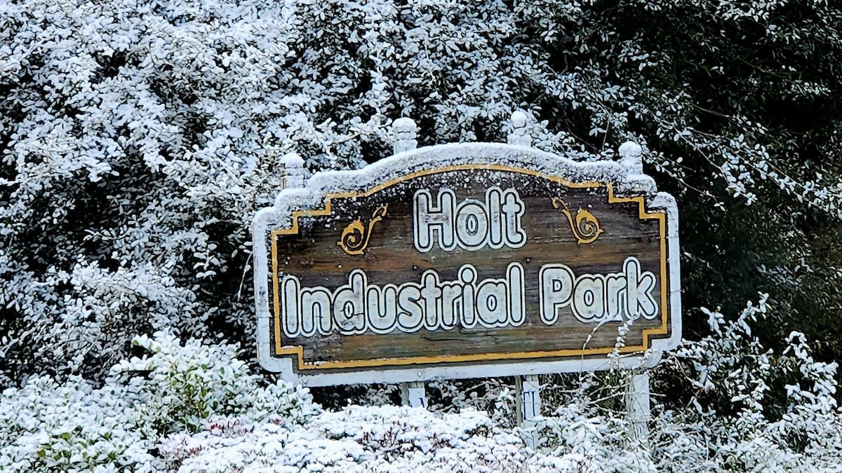 Snow falls in Florida for 2nd year in a row. Tampa Bay gets cold again<br><br>