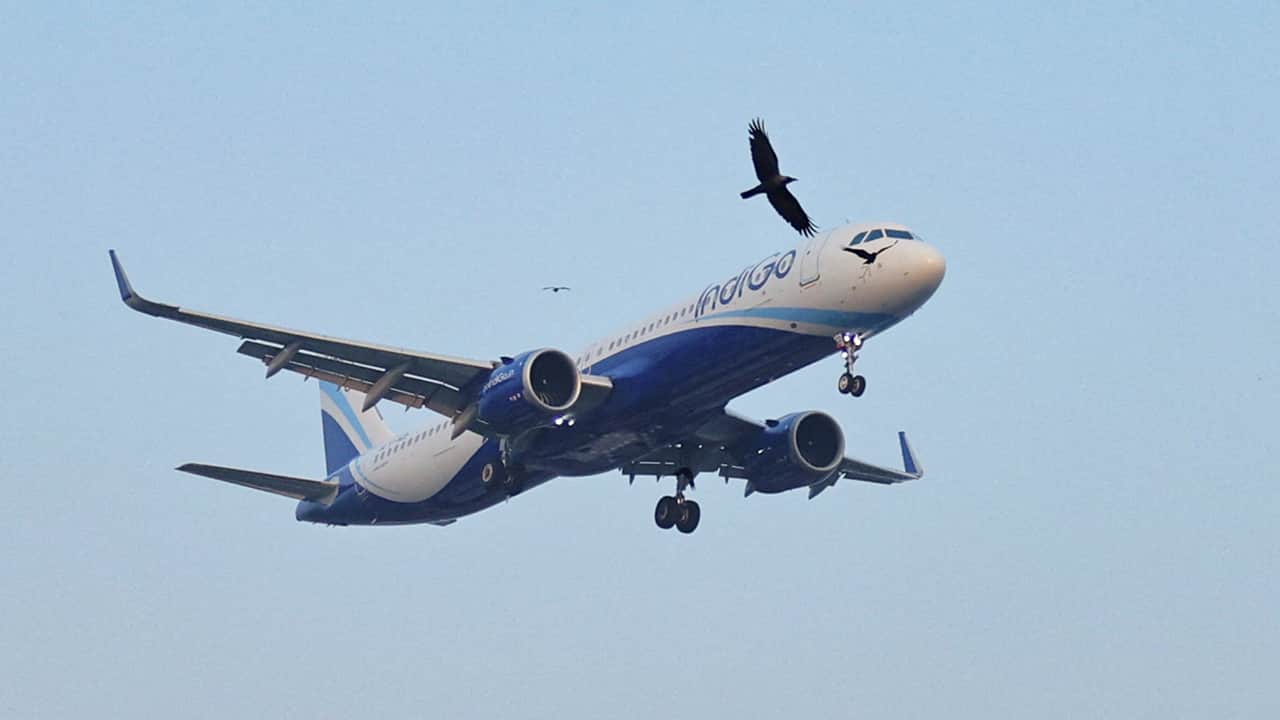 IndiGo eyes Himalayan routes as airspace curbs squeeze international operations