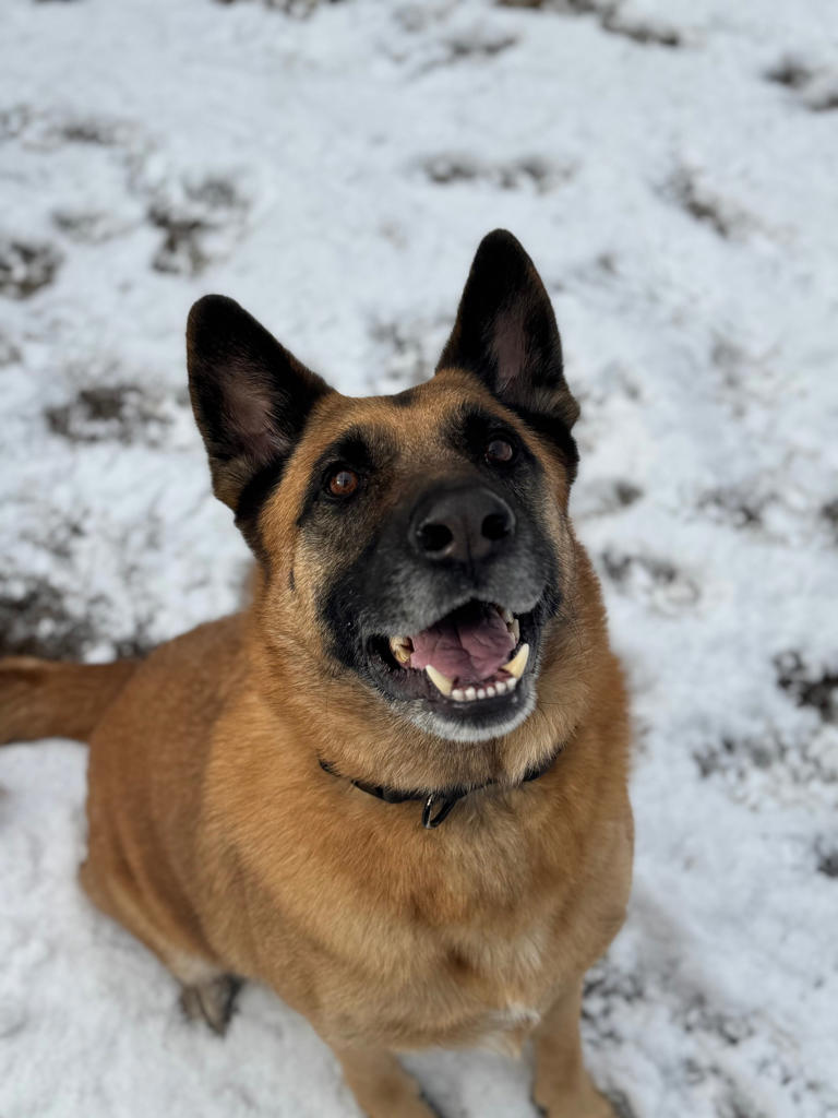 WTVY viewer view: Snowy Sunday across the Wiregrass