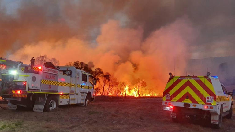 It's all gone: Family's bushfire horror