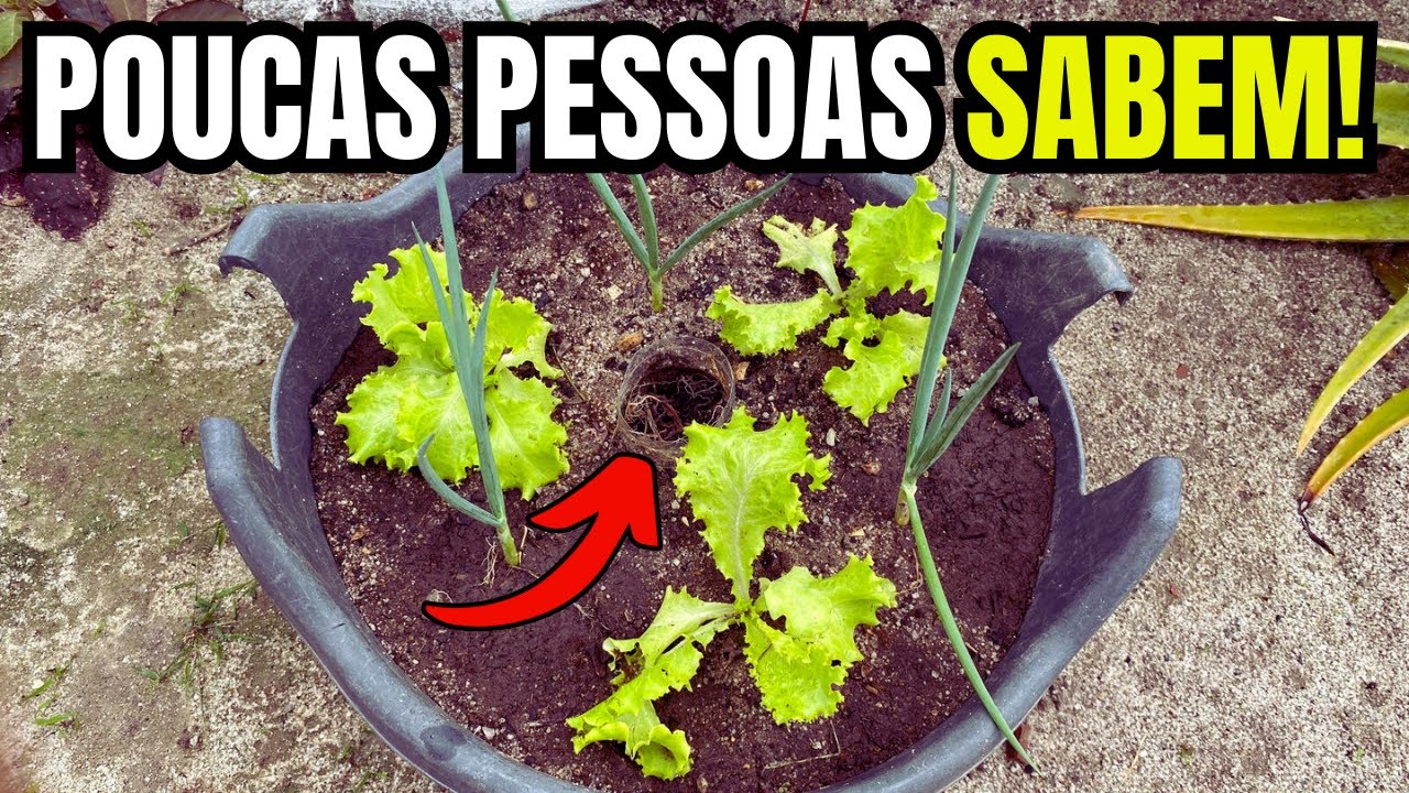 Todos deveriam conhecer esta técnica para cultivar uma horta em casa