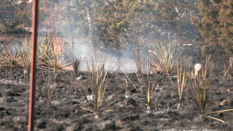 Crews respond to grass fire near Highway 36 in Callahan County