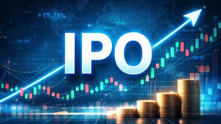Hexagon Nutrition IPO day 2: Public issue subscribed 2.9 times so far; retail portion booked over 4 times