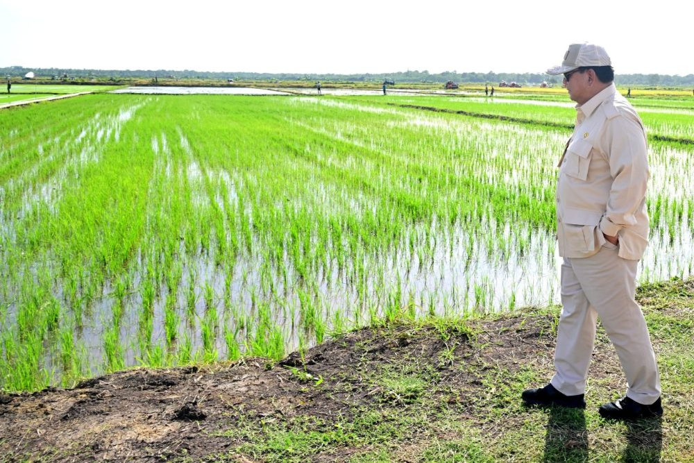 Kemenhut Dorong Swasembada Pangan Melalui Perhutanan Sosial