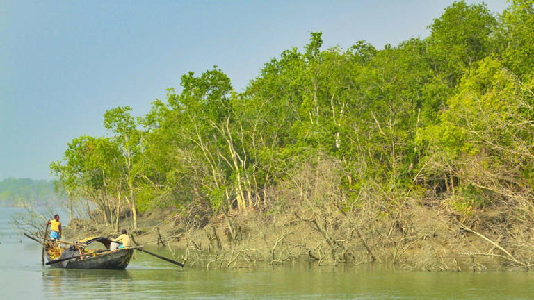 Ganga-Brahmaputra delta is sinking: Why 23 crore people are staring at ...
