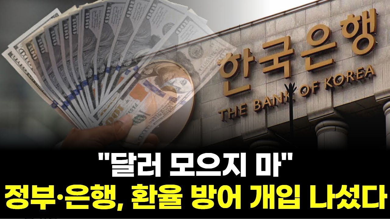 달러 모으지 마…정부·은행, 환율 방어 개입 나섰다 | Watch