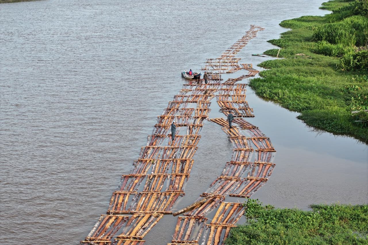 Jaringan kayu ilegal Kalbar, Kemenhut janjikan tindakan tegas
