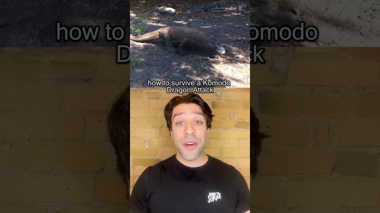 What you need to know to survive a komodo dragon bite