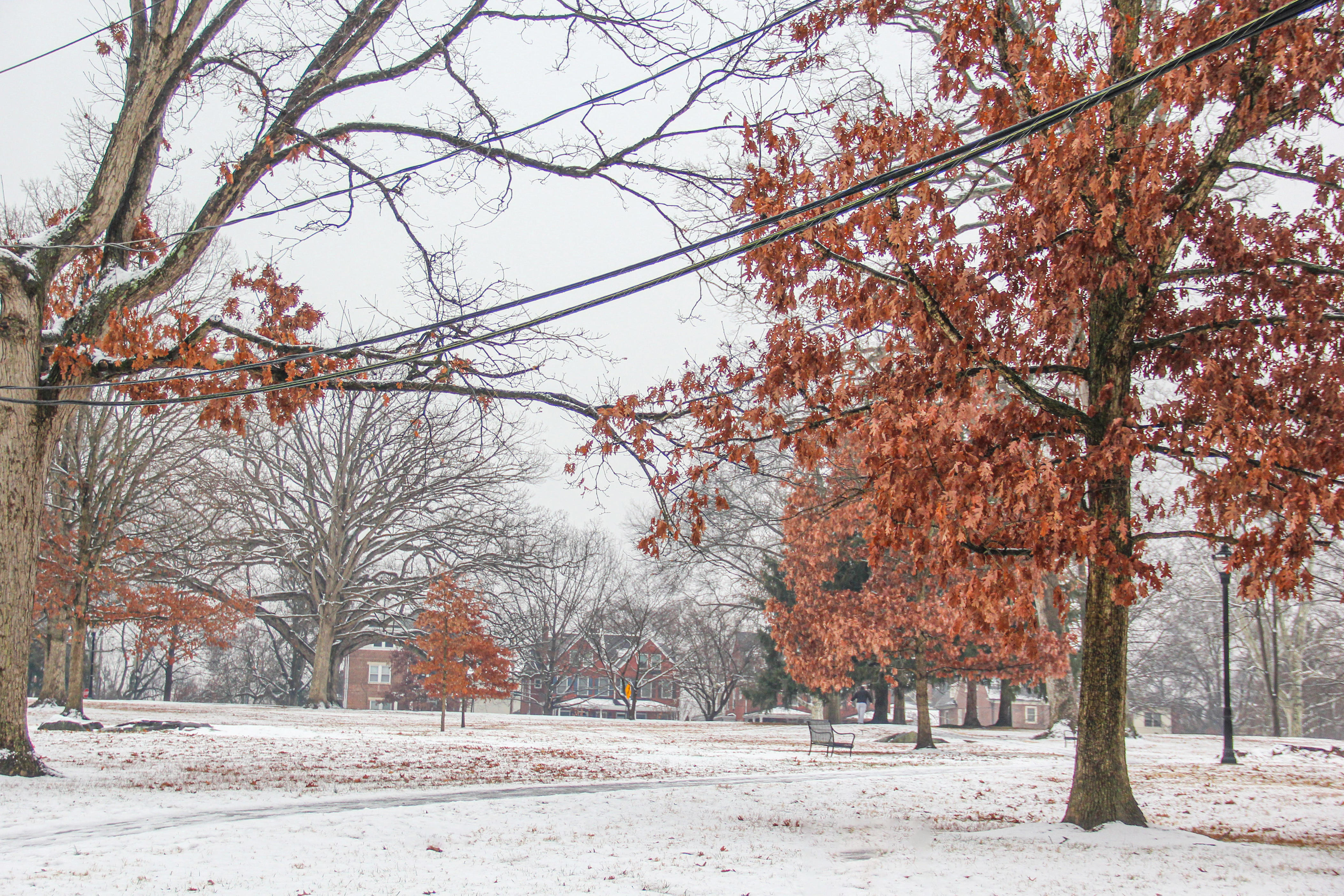 How many inches of snow fell on Delaware on Jan. 18?