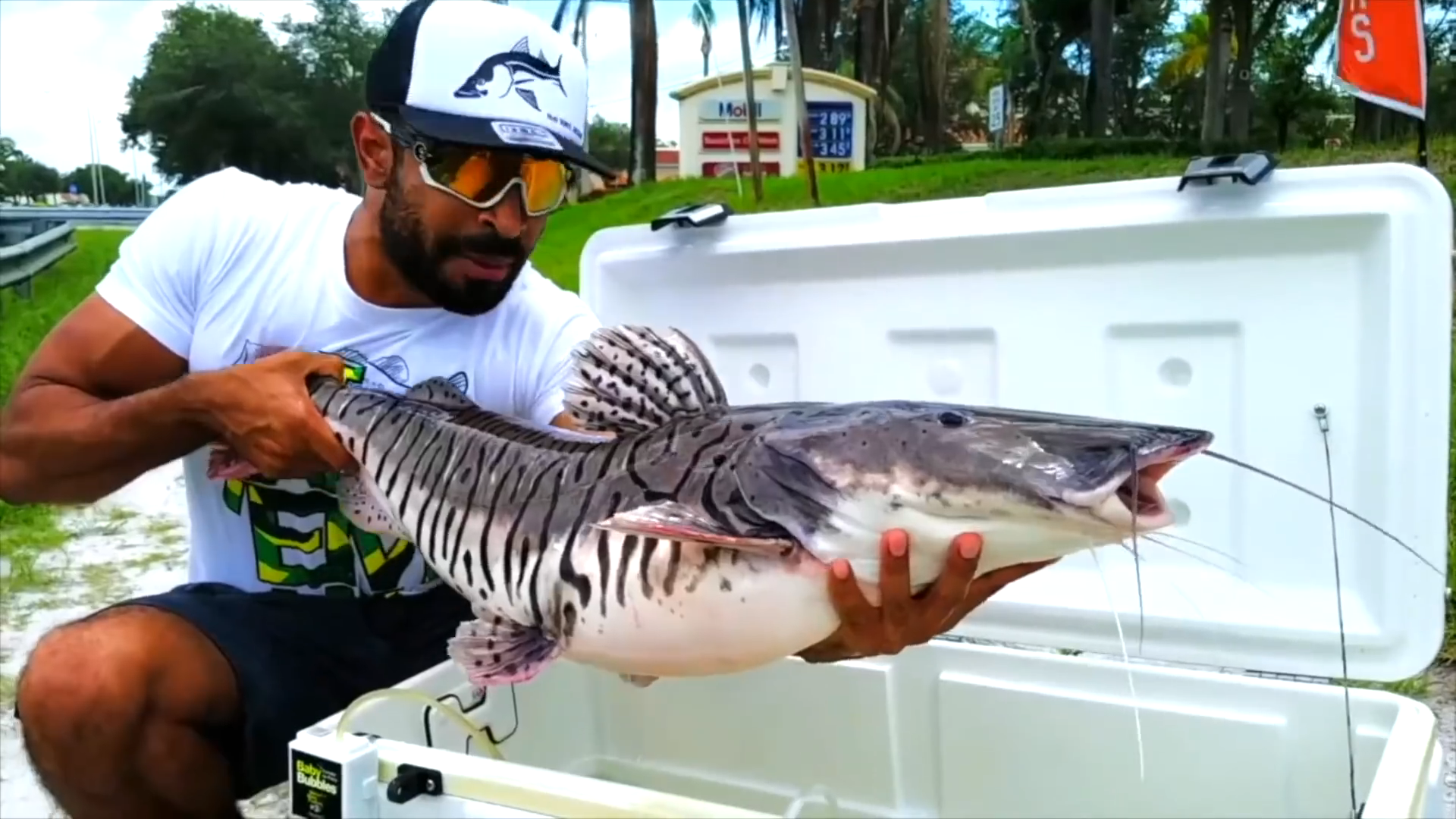What We Found Inside a 5Ft Catfish