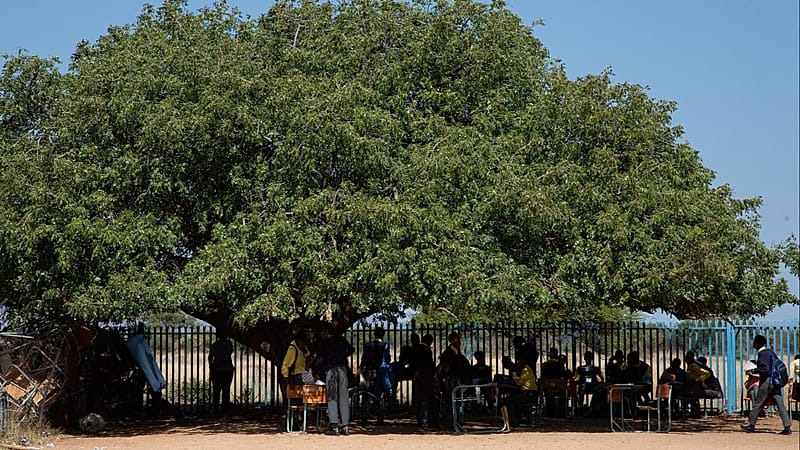 Sudafrica, scontro tra camion e scuolabus: almeno 12 bambini morti