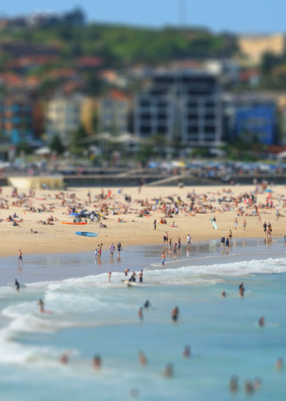 Officials take drastic action after third shark attack in 24 hours<br>