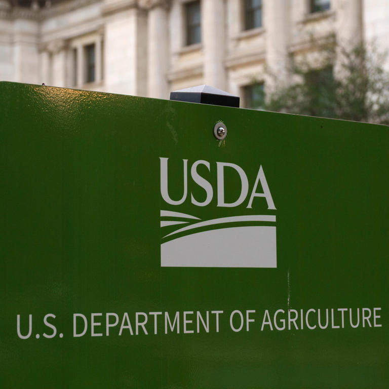 Chicken sold in 7 states recalled for potential listeria contamination