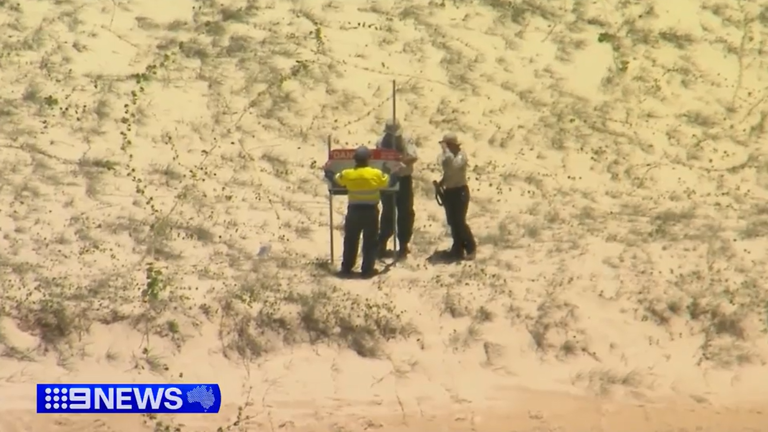 Mayor describes 'escalating dingo aggression' after death on K'gari