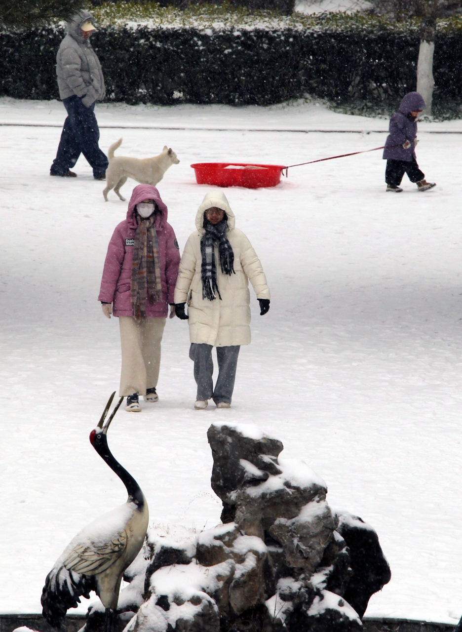 独家：雪趣