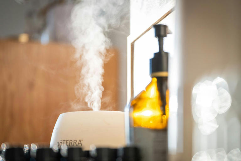 Regelmäßig richtig reinigen: Keimschleuder? So nutzen Sie Aroma ...