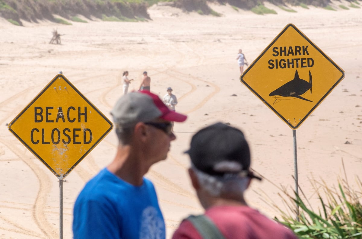 Third shark attack in 36 hours sparks panic in Sydney<br>