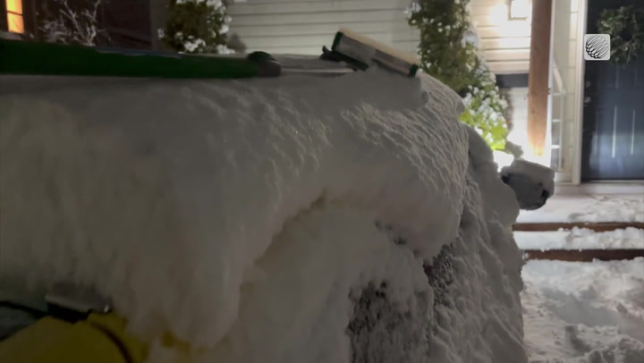 Heavy, wet snow causes closures and outages in Nova Scotia