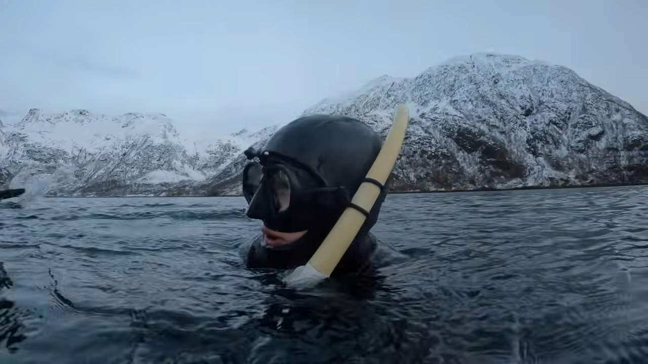 Up close with orcas during Norway’s winter migration