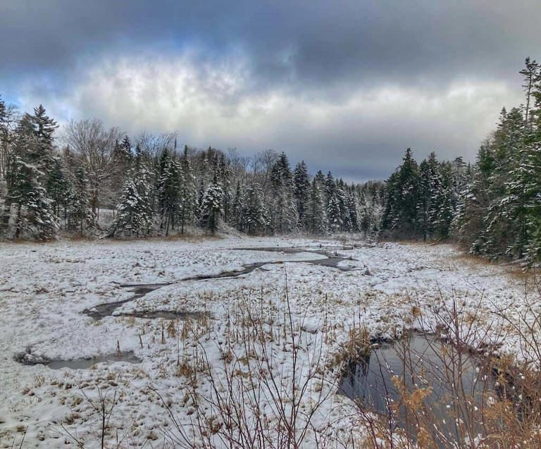 Woodford State Park, season by season One of Vermont’s bestkept secrets