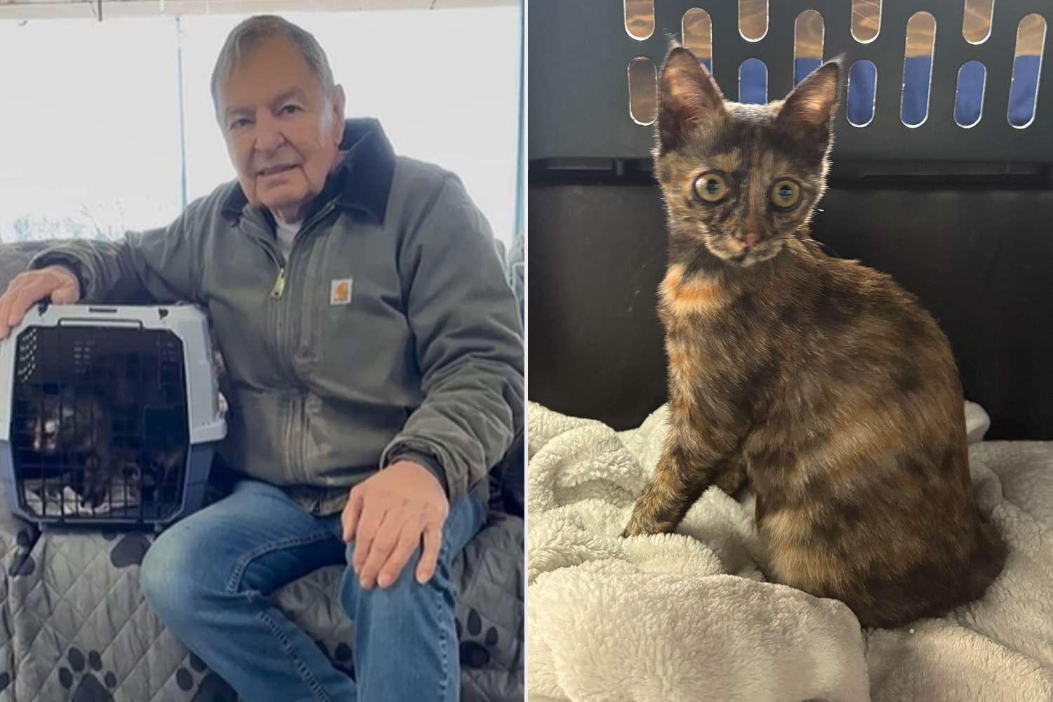 Grieving veteran 'brought back' to life after adopting rescue kitten ...