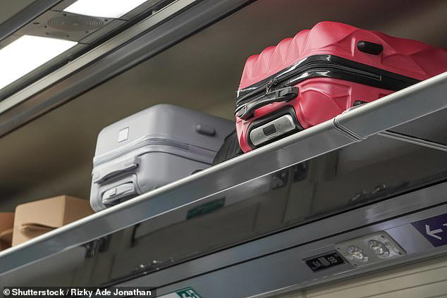 Natasha Heap, a former pilot with 25 years of experience in the aviation industry, reveals why airlines are enforcing stricter rules on luggage