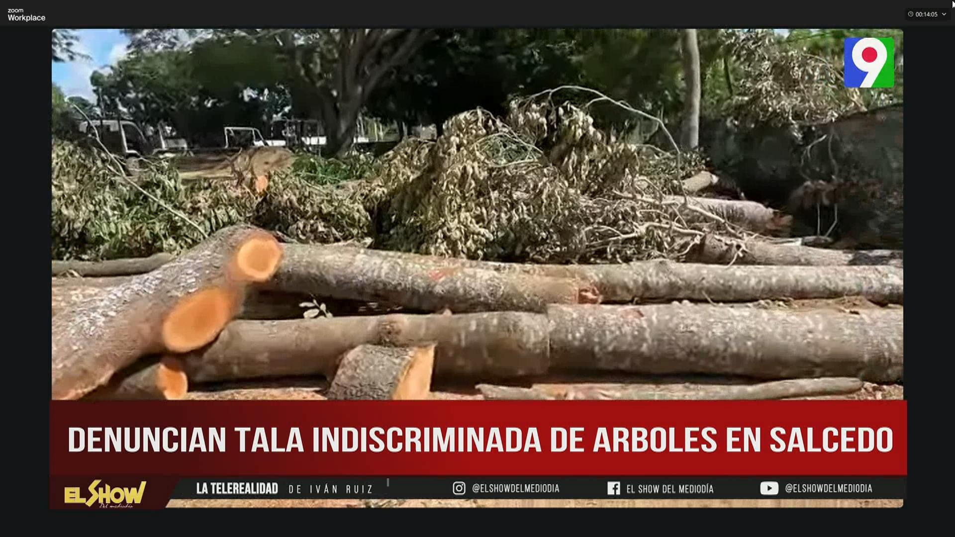 Tala indiscriminada de árboles en Salcedo | ESM