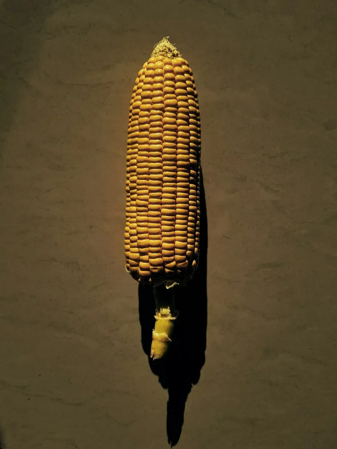 How shifting conditions in the Corn Belt are changing US farming