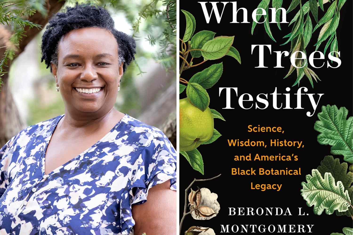 Trees connect us with our ancestors. “When Trees Testify” explores the ...