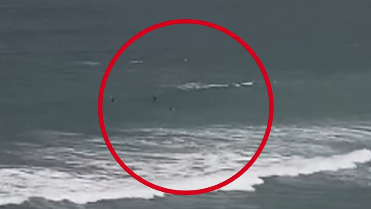 Man injured after fourth shark attack in NSW in 48 hours