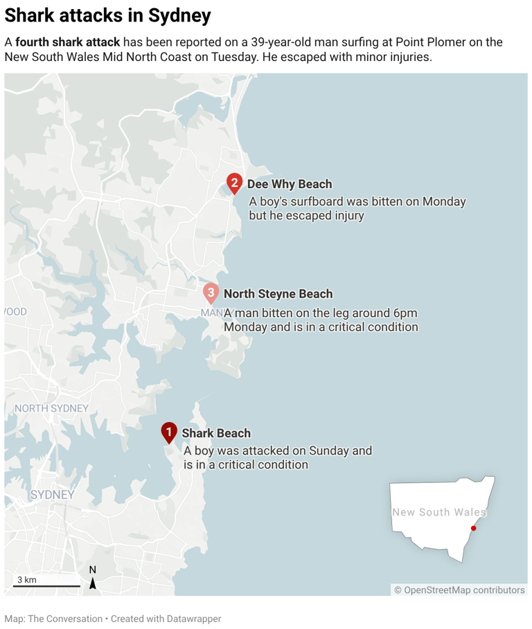 4 shark bites in 48 hours: How what we do on land may shape shark behaviour