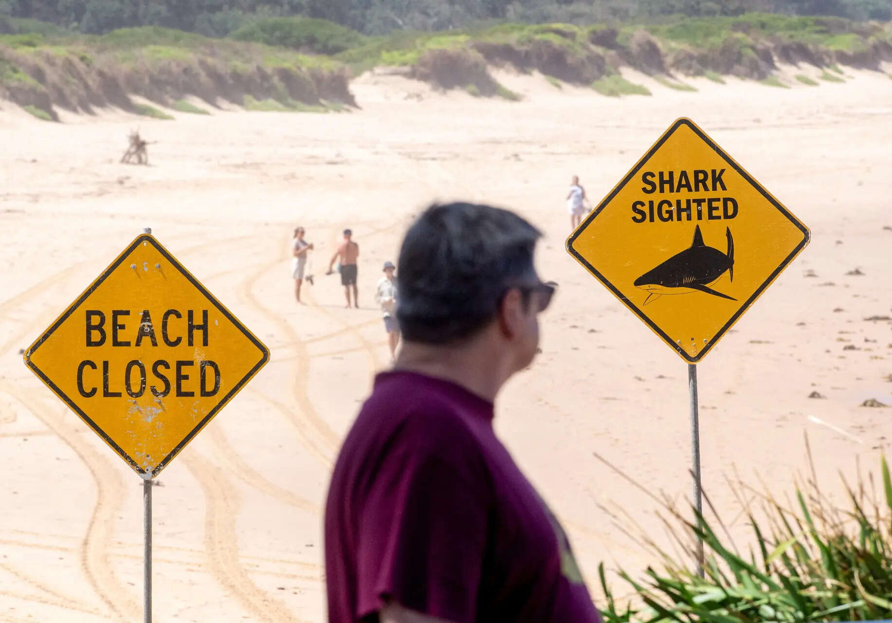Fourth shark attack in 48 hours injures surfer on NSW Mid North Coast
