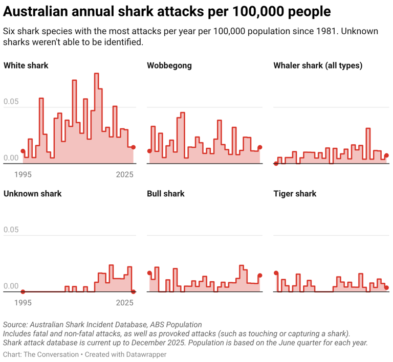 4 shark bites in 48 hours: How what we do on land may shape shark behaviour