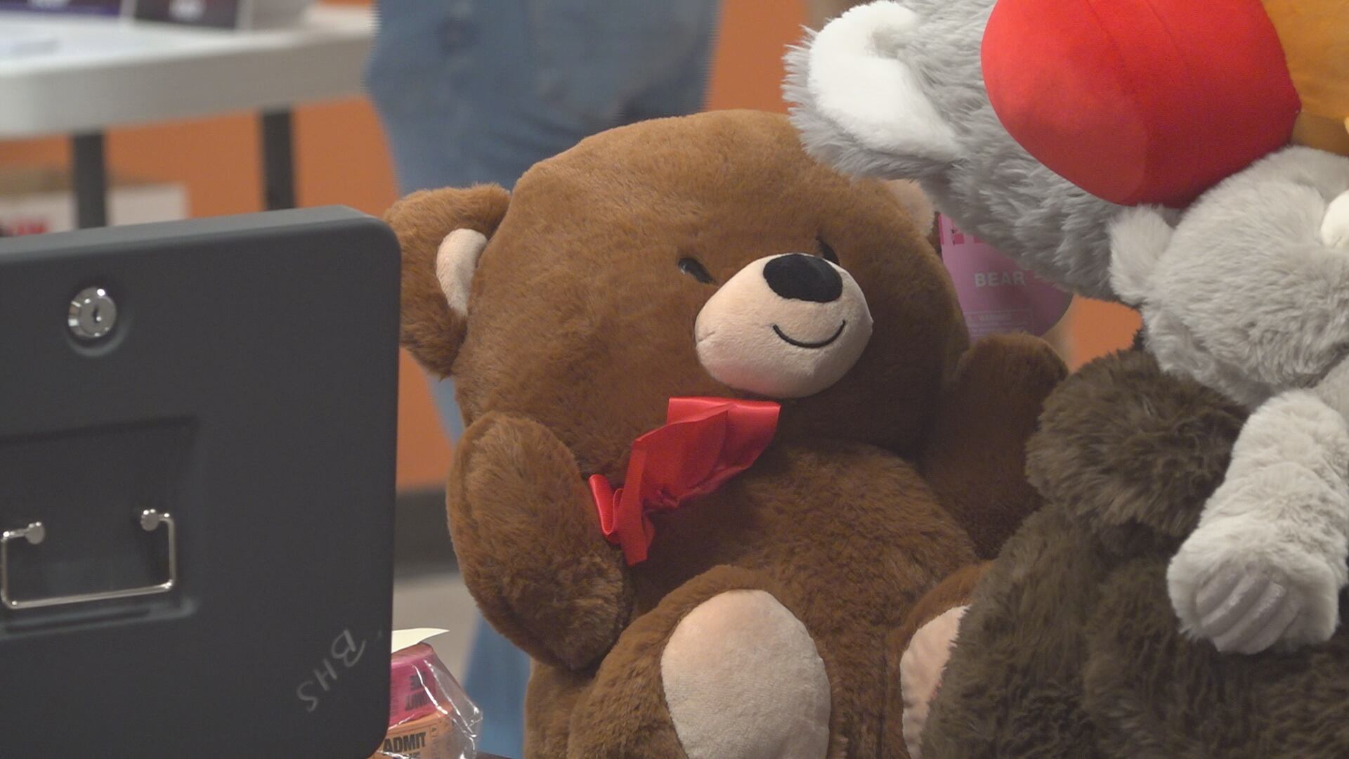 Local middle schooler hosts teddy bear toy drive for underprivileged kids