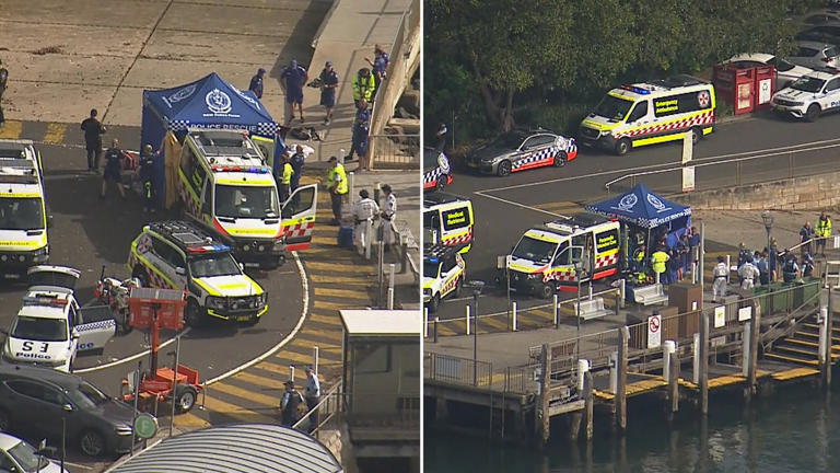 Boy fighting for life after being mauled by shark in Sydney's east