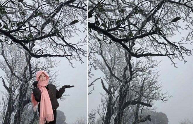 Bắc Bộ chuyển rét, nhiệt độ thấp nhất 3 độ C