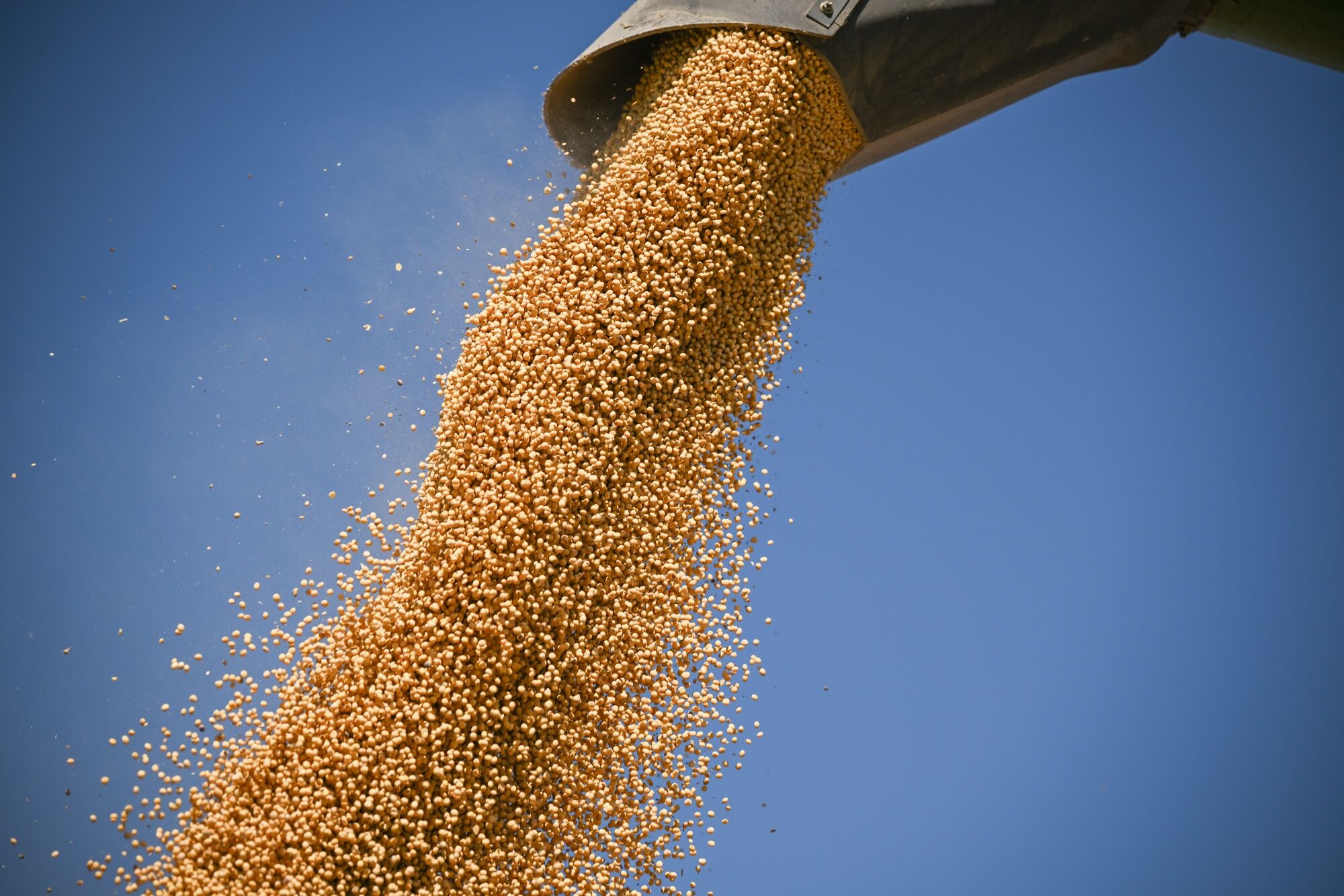 China reaches 12 million tons of soy purchases to meet US pledge<br><br>